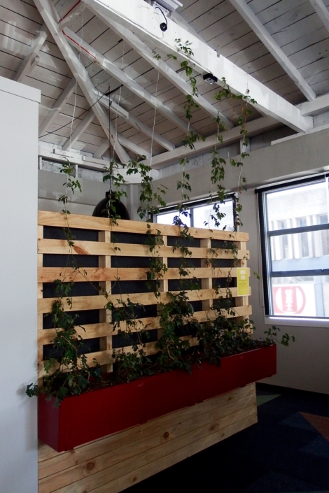 Office interior fitout joinery and glass partition